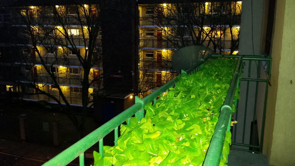 Chadswell House Apartment ลอนดอน ห้อง รูปภาพ